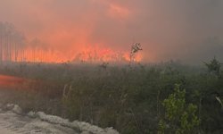 ABD'de orman yangınlarında 120'den fazla ev yandı