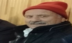 Kovana bakım yaparken boğazından arı soktu, öldü