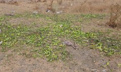 Bakanlık açıkladı: O görüntüler yanıltıcı