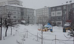 Bitlis'te kardan dolayı 82 köy yolu ulaşıma kapandı