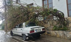 Fırtına hayatı durma noktasına getirdi