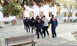 5 milyon lira değerindeki büyükbaşları çaldılar