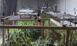 Depoyu kenevir serasına çevirenler yakalandı