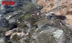 Hakkari’de pancar toplarken mahsur kalan genç kurtarıldı