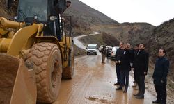 Şemdinli–Derecik yolu Meclis gündeminde