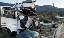 Sebze yüklü TIR ağaca çarparak durabildi