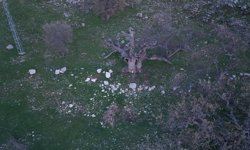 Gülistan Doku soruşturmasında 40 kilometrelik alanda arama