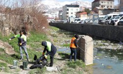 İnci kefalinin göç yolunda 2 ton atık temizlendi