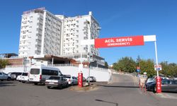 İneğini yakalamak isterken hayatını kaybetti