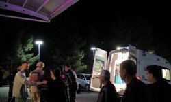 Kavgayı ayırmak isterken vuruldu