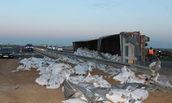 Yardım için duranlara araç çarptı: 1 ölü, 5 yaralı