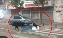 Kent merkezine inen yaban domuzu, 3 kişiyi yaraladı