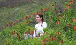 Muş'un zirveleri ters lalelerle renklendi