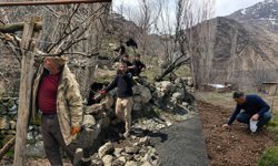 Havaların ısınmasıyla Hakkari’de bahçe sezonu başladı