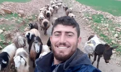 Mardin'de çobanın öldürüldüğü silahlı saldırıya ilişkin 5 tutuklama