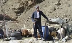 Hakkari’de 2026 Yılı Vekaletle Kurban bedelleri açıklandı