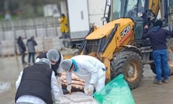 Sakarya’da skandal! 32 ton bozuk tavuk eti ele geçirildi