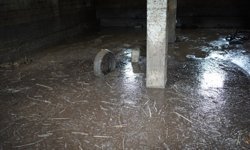 Siirt’te sağanak sele neden oldu; 35 küçükbaş öldü