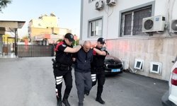 Sokak köpeğine şiddet uygulayan kişi gözaltına alındı