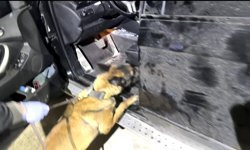 Cipin tabanında 24 kilo yasaklı madde yakalandı