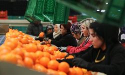 Kadınların ihracattaki payı yüzde 23,5