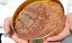 Uygunsuz balın önüne yeni düzenleme