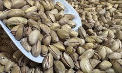 Fıstık ihracatı 32,8 milyon dolara ulaştı