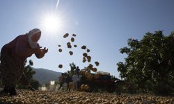 Aşırı sıcaklar 1 milyardan fazla kişiyi tehdit ediyor