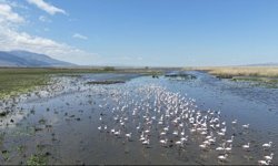 Eber Gölü’nde su seviyesi üç kat arttı