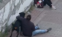 Ağızlıksız gezdirilen rottweiler, küçük ırk köpeğe saldırdı