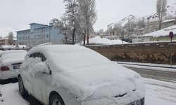 Van Başkale’de kar yağışı etkili oldu