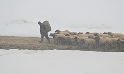 Van'da ilkbaharda kar etkili oldu