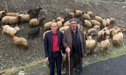 İhya ve İnfak Derneği Hakkari'de 487 aileye kurban yardımı yaptı