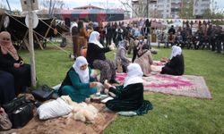 Van'da Kürt Dil Bayramı etkinlikleri