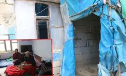 Hakkari'de yıkılmak üzere olan evde mücadele veriyorlar