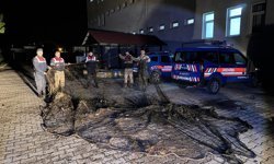 Van’da kaçak inci kefali avına 112 bin lira ceza
