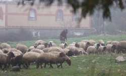 İsrail ordusu Suriye’de bir çobanı alıkoydu