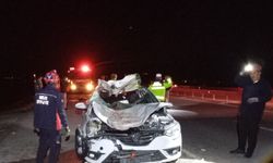 Muş'ta yola çıkan ata çarpan araçtaki 4 kişi yaralandı
