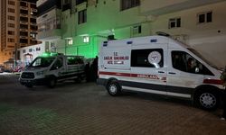 Elazığ'da bir kişi karısını silahla vurdu