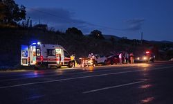Bingöl'de ineğe çarpan otomobildeki 1 kişi yaralandı