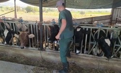 17 mahallede karantina tedbirleri alındı