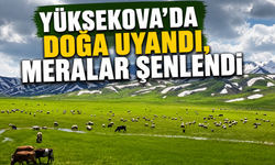 Yüksekova’da doğa uyandı, meralar şenlendi