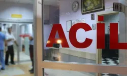 Van ve çevre illerde 186 "acemi kasap" hastanelik oldu