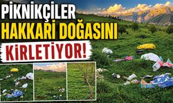 Piknikçiler Hakkari doğasını kirletiyor