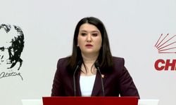 CHP’li Gökçen’den basın baskısı çıkışı