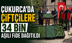 Çukurca'da çiftçilere 34 bin fide aşılı dağıtıldı