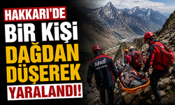 Hakkari’de bir kişi dağdan düşerek yaralandı