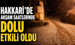 Hakkari'de akşam saatlerinde dolu etkili oldu