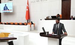 Düşünmez Hakkari'de artan yol kontrollerini sordu