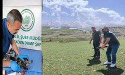 Hakkari’de tedavisi tamamlanan kartal doğaya bırakıldı